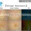 UV Skin Analyzer VF3000 Factory China Manufacturers Support Win 10 Win 8 Analyzer