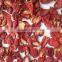 Chinese New Crop Dry Tomato Production