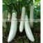 Vegetable Seeds:All Kinds Of Eggplant Seeds With Different Colors