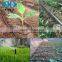 Perfect Humic Fulvic Acid NPK Organic Fertilizer