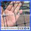 100 meters long HDPE anti bird netting /pond/fruit protect net/protection netting(Guangzhou Factory)