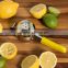 2017 Stainless Steel Lemon Squeezer citrus juicer with TPR handle