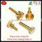 Non-standard Custom Made Kinds Of Brass Screw For Sale
