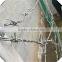 galvanized barbed wire price factory / barbed wire manufacture