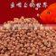 twin screw extruder to make fish meal