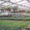 Good Quality Cheap Agricultural Green House