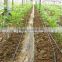 PE material drip irrigation pipe with dripper