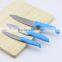 Blue Handle Stainless Steel Kitchen Knives Set