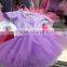 hot designs tutu clothes dance dress for children