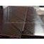 Film Faced Plywood with Logoes