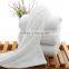 Gold supplier 100% cotton yarn dyed hotel terry towel