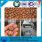 200kg/h Hawaii Tapping Machine | Macadamia Nut Opening Machine | Hawaii Nut Opening Machine