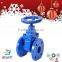 Industrial Ductile Iron Stainless Steel Stem Gate Valve With Flangge Connection