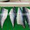 Good quality boneless frozen mackerel fish fillet