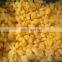 New Crop IQF Frozen Peeled Mandarin Orange Broken