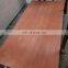 One time press pencil cedar plywood 4.5mm