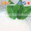 tile joint filler, waterproof mortar&wall putty powder----re-dispersible polymer Powder