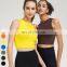 High Quality Ladies Running Crop Tops Seamless Shockproof Sports Bra High Neck Fitness Tops In Build Bra Yoga Tank Top For Women