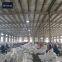 supplier Type A Custom Accepted White Super Jumbo Bulk FIBC Woven Industrial 1 ton container bag