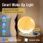 Wi-Fi Smart Wake-up Sunrise Alarm Clock Supporting App/Voice/Touch Control with Snooze and FM Radio Function, 7 color changeable
