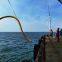 Cable Bend Protection for the Offshore Energy Industry