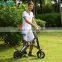 Mini folding ebike,folding ebicycle ,folding bikes