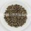 jasmine tea