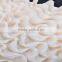 elegant shape ripple chiffon lace embroidery for girl dress