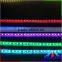CE RoHs DC12V RBG LED Strip , 14 pixel per meter LED strip light , dmx rgb led light
