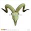 Resin Antelope Animal Skull for Sale