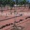 Banana ,folwer, fruits, trees good quality farm drip irrigation systems