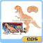 dino model toy rc dinosaur with light and music