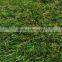 Multi-Purpose Ground Artificial Green Carpet