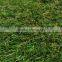 Soccer Field Cheap Plastic Grass Carpet