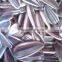 Chinese sunflower seeds sandaomei with best price for sale