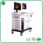 large screen ultrasound scanner with trolley Workstation 3018CIV
