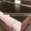 linyi company black film faced plywood