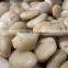 Cobblestones for Sale Tumbled Stones