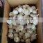 china fresh white garlic in bag or carton