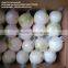 2016 new crop fresh peeled onion