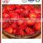 shadnong high quality and sweet canned strawberry in syrup