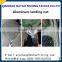 Folding collapsible Aliuminum aquarium fishing net