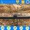 Ts irrigation company drip irrigation for trees