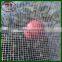 Factory Supply Apple tree Anti Hail Net with board and eyelets