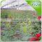 Flower garden Greenhouse Irrigation Series