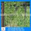 Galvanized Cattle Fence/Garden Fences/Electric Fence