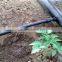 drip irrigation pipe plastic pipe pe material drip pipe