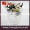 Elegant Shape 2017Colorful Flower Nursery Garden Mini Round Planting Glass Pots
