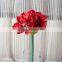 SJ10111100 Guangzhou shengjie artifiical clivia flower sale with factory price