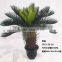 1071-84A Artificial Cycads Plants for Decoration
